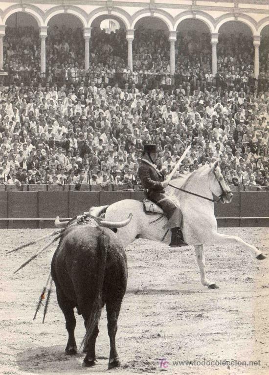 Tauromachia: FOTOGRAFIA ORIGINAL DE ARJONA AL REJONEADOR A. IGNACIO VARGAS. PLAZA DE TOROS DE SEVILLA.