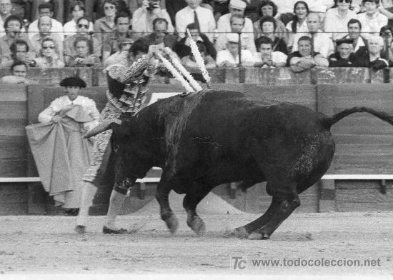 Bullfighting: FOTOGRAFIA ORIGINAL DE ARJONA AL DIESTRO ANGEL TERUEL. PLAZA DE TOROS DE SEVILLA.