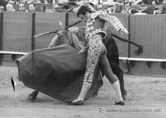 Bullfighting: FOTOGRAFIA ORIGINAL DE ARJONA AL DIESTRO ANGEL TERUEL. PLAZA DE TOROS DE SEVILLA.