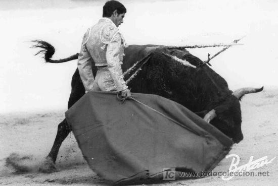 Bullfighting: FOTOGRAFIA ORIGINAL DE BOTAN AL DIESTRO RUIZ MIGUEL. PLAZA DE TOROS DE MADRID.