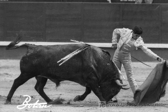 Bullfighting: FOTOGRAFIA ORIGINAL DE BOTAN AL DIESTRO RUIZ MIGUEL. PLAZA DE TOROS DE MADRID.