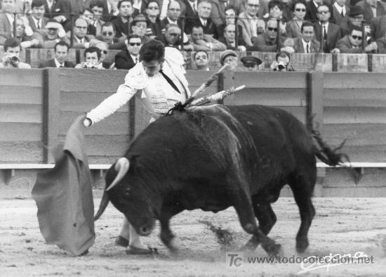 Bullfighting: FOTOGRAFIA ORIGINAL DE ARJONA REJONEADOR ANGEL TERUEL. PLAZA DE TOROS DE SEVILLA.