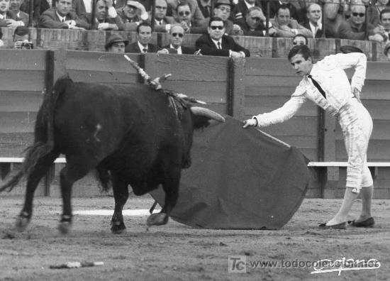 Bullfighting: FOTOGRAFIA ORIGINAL DE ARJONA AL DIESTRO ANGEL TERUEL TOREANDO DE MULETA. PLAZA DE TOROS DE SEVILLA.