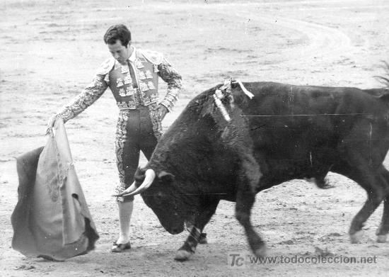 Bullfighting: FOTOGRAFIA ORIGINAL DE ARJONA AL DIESTRO DIEGO PUERTA TOREANDO DE MULETA.