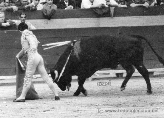 Tauromachie: FOTOGRAFIA ORIGINAL DE JOSE CERDA AL DIESTRO DIEGO PUERTA. PLAZA DE TOROS DE VALENCIA.
