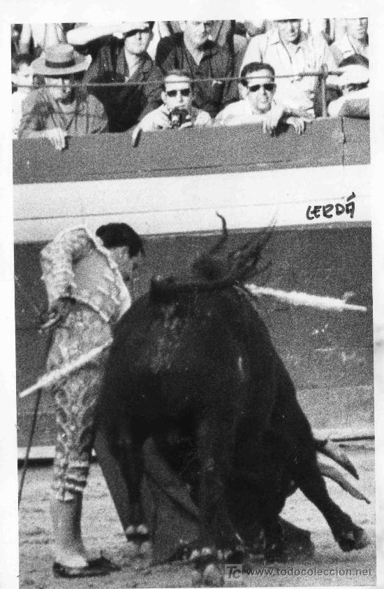 Tauromachie: FOTOGRAFIA ORIGINAL DE JOSE CERDA AL DIESTRO DIEGO PUERTA. PLAZA DE TOROS DE VALENCIA.