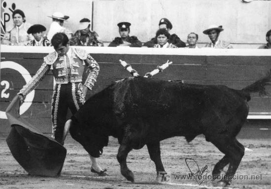 Tauromachie: FOTOGRAFIA ORIGINAL AL NOVILLERO MANUEL DEL POZO RAYITO. PLAZA DE TOROS DE VENEZUELA.