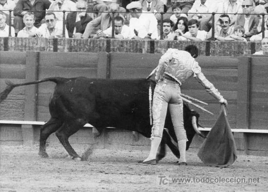 Tauromachie: FOTOGRAFIA ORIGINAL DE ARJONA AL DIESTRO FERNANDO RIVERA. PLAZA DE TOROS DE SEVILLA.