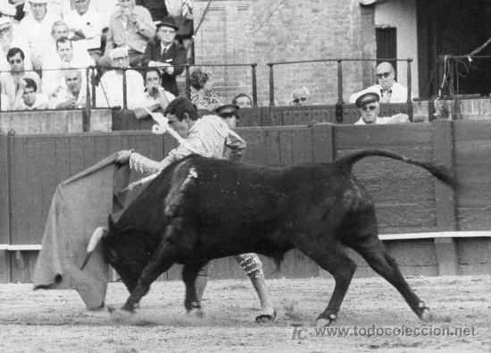 Tauromachie: FOTOGRAFIA ORIGINAL DE ARJONA AL DIESTRO FERNANDO RIVERA. PLAZA DE TOROS DE SEVILLA.