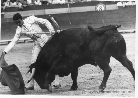 Tauromaquia: FOTOGRAFIA ORIGINAL DEL DIESTRO DE HUELVA PABLO GOMEZ TERRON. PLAZA DE TOROS DE VALENCIA.