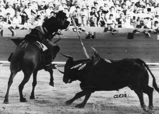 Tauromaquia: FOTOGRAFIA ORIGINAL DE JOSE CERDA AL REJONEADOR ANGEL PERALTA. PLAZA DE TOROS DE CASTELLON.