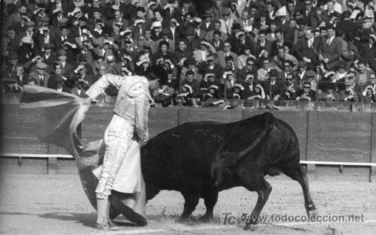 Tauromaquia: FOTOGRAFIA ORIGINAL AL DIESTRO PEDRO MARTINEZ PEDRES. PLAZA DE TOROS DE SEVILLA.