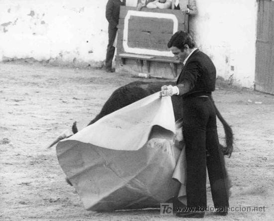 Bullfighting: FOTOGRAFIA ORIGINAL DE ARJONA AL DIESTRO JOSE LUIS PARADA. PLAZA DE TOROS DE UTRERA.