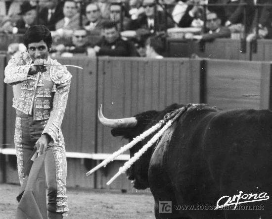 Bullfighting: FOTOGRAFIA ORIGINAL DE ARJONA AL DIESTRO JOSE LUIS PARADA. PLAZA DE TOROS DE SEVILLA.