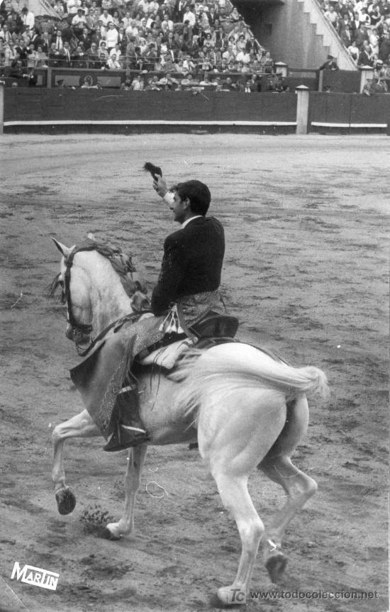 Tauromachia: FOTOGRAFIA ORIGINAL DE MARTIN AL REJONEADOR RAFAEL PERALTA. PLAZA DE TOROS DE MADRID.