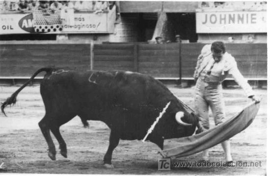 Tauromachia: FOTOGRAFIA ORIGINAL AL DIESTRO MANOLO PEREZ. PLAZA DE TOROS DE COLOMBIA.