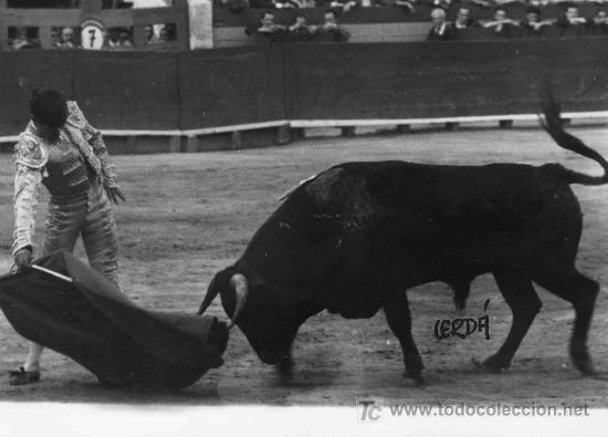 Tauromachia: FOTOGRAFIA ORIGINAL DE JOSE CERDA AL DIESTRO MANUEL CANO, EL PIREO. PLAZA DE TOROS DE VALENCIA.