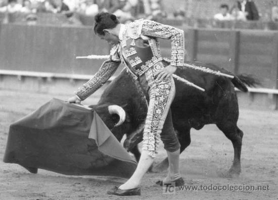 Tauromachia: FOTOGRAFIA ORIGINAL DE ARJONA AL DIESTRO CORDOBES DIEGO SANCHEZ FUENTES. PLAZA DE TOROS DE SEVILLA.