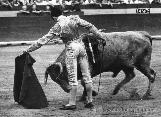 Tauromachia: FOTOGRAFIA ORIGINAL DE JOSE CERDA AL DIESTRO AGAPITO SANCHEZ BEJARANO. PLAZA DE TOROS DE VALENCIA.