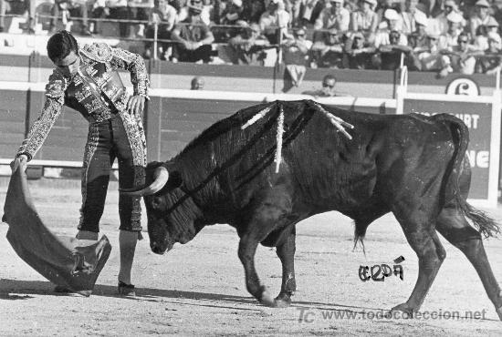 Tauromachia: FOTOGRAFIA ORIGINAL DE JOSE CERDA AL DIESTRO AGAPITO SANCHEZ BEJARANO. PLAZA DE TOROS DE CASTELLON.