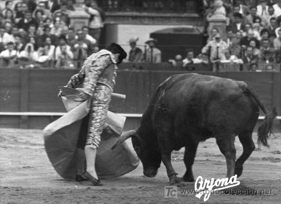 Tauromachia: FOTOGRAFIA ORIGINAL DE ARJONA AL MATADOR DIEGO PUERTA. PLAZA DE TOROS DE SEVILLA.