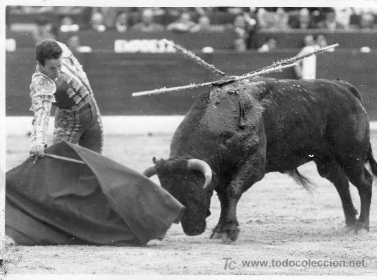 Tauromachia: FOTOGRAFIA ORIGINAL DE ARJONA AL MATADOR DIEGO PUERTA TOREANDO DE MULETA.