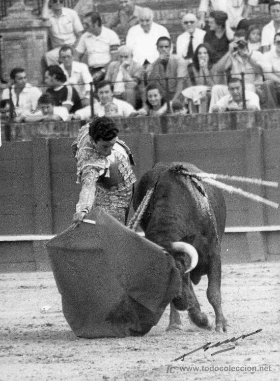 Tauromachia: FOTOGRAFIA ORIGINAL AL MATADOR PEDRO SANTIPONCE. PLAZA DE TOROS DE SEVILLA.