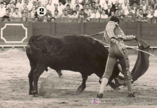 Tauromaquia: FOTOGRAFIA ORIGINAL DEL DIESTRO JUAN GALVEZ TOREANDO DE MULETA.