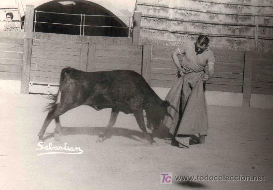 Tauromaquia: FOTOGRAFIA ORIGINAL DE SEBASTIAN AL DIESTRO M.ERICH TOREANDO A LA VERONICA EN VICH.