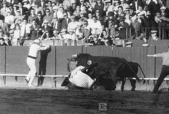 Tauromaquia: FOTOGRAFIA ORIGINAL EN LA QUE EL PICADOR ES DERRIBADO POR EL TORO.