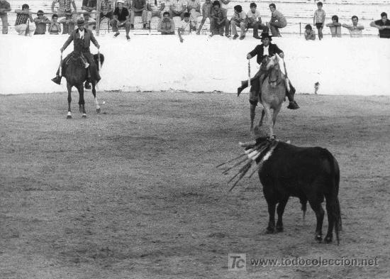 Tauromaquia: FOTOGRAFIA ORIGINAL DE ARJONA. REJONEADORES EN LA PLAZA DE TOROS DE UTRERA.
