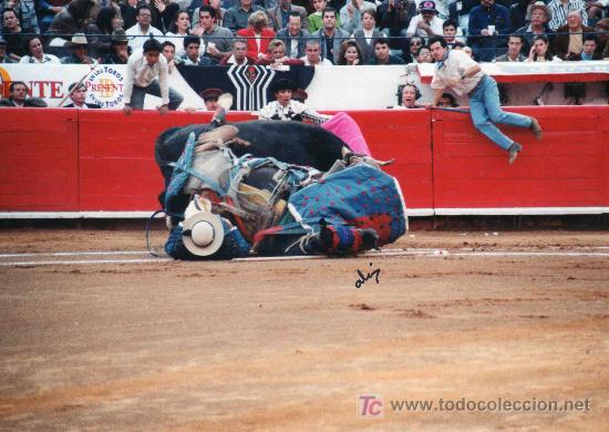Tauromaquia: FOTOGRAFIA ORIGINAL, IMPACTANTE, EL TORO TUMBA AL PICADOR Y ESTE QUEDA DEBAJO DEL CABALLO.