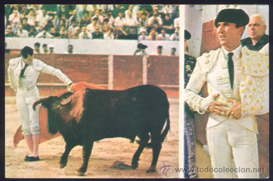 Tauromaquia: POSTAL DE LUIS MIGUEL DOMINGU&Iacute;N.-REMATE DE MULETA