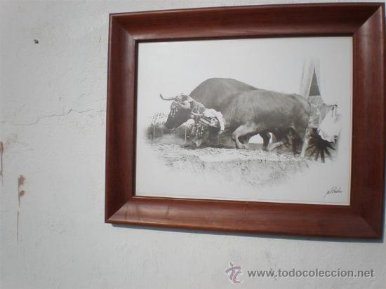 Tauromaquia: cuadro de toros - Foto 2