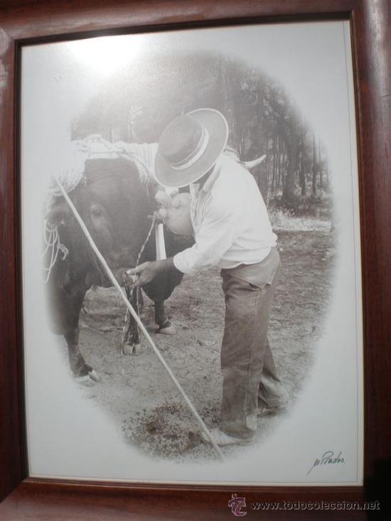 Tauromaquia: cuadro de toros - Foto 2