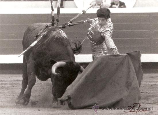 Bullfighting: FOTOGRAFIA DEL TORERO FRANCISCO RUIZ MIGUEL.