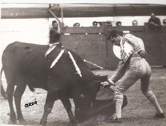 Tauromachia: FOTOGRAFIA DEL TORERO JOSE DEL PUERTO.