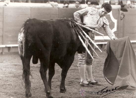 Tauromachia: FOTOGRAFIA DE TORERO. PEPE LUIS SEGURA. ALCALA DE GUADAIRA.