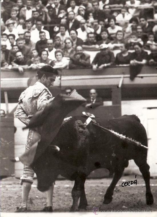Tauromachia: FOTOGRAFIA DE TORERO. JOSE DEL PUERTO.