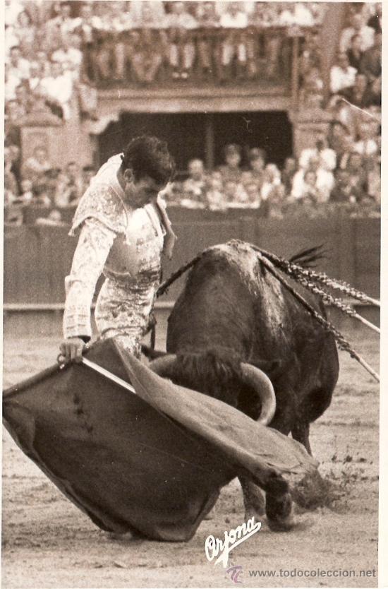 Tauromachie: FOTOGRAFIA DE TORERO. GREGORIO SANCHEZ. SEVILLA.