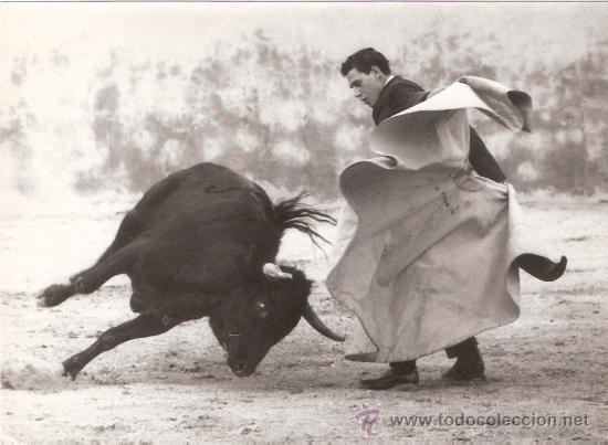 Tauromachie: FOTOGRAFIA DE TORERO. VICENTE PUNZON.