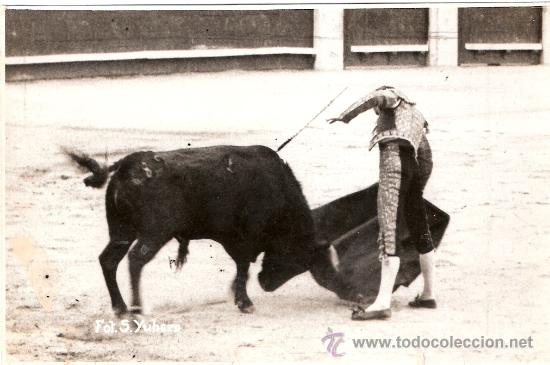 Tauromachie: FOTOGRAFIA DEL TORERO. EDUARDO SOLORZANO.