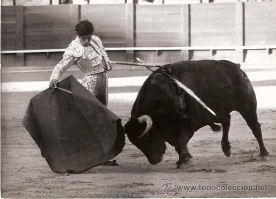 Tauromachie: FOTOGRAFIA DEL TORERO. FRANCISCO RUIZ MIGUEL. SEVILLA.
