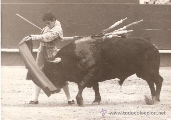 Tauromaquia: FOTOGRAFIA DEL TORERO PEDRO GUTIERREZ MOYA &rdquo;EL NI&Ntilde;O DE LA CAPEA&rdquo;. BARCELONA.