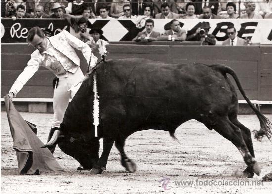 Tauromachie: FOTOGRAFIA DEL REJONEADOR GASTON SANTOS.