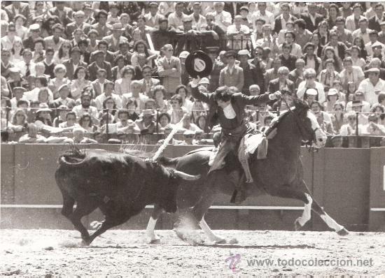 Tauromachie: FOTOGRAFIA DEL REJONEADOR RAFAEL PERALTA. SEVILLA.