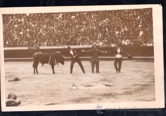 Tauromachia: PLAZA DE TOROS DE BARCELONA. ESPECTACULO CIRCENSE - FOTO MATEO