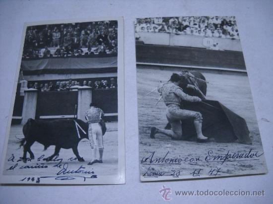 Tauromaquia: TOROS. LOTE 2 FOTOGRAFIAS TIPO POSTAL DE ANTONIO BIENVENIDA TOREANDO, UNA CON AUT&Oacute;GRAFO Y FIRMA