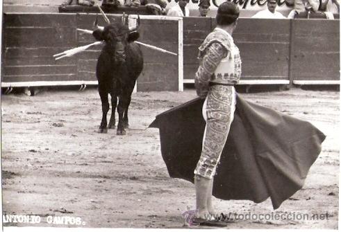 Tauromachia: TARJETA POSTAL. TOREROS. ANTONIO CAMPOS.