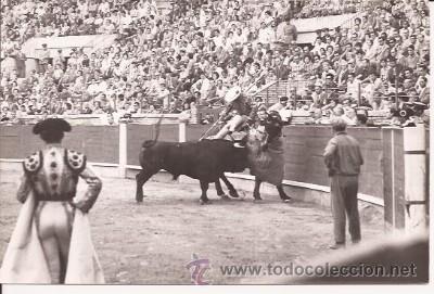 Tauromaquia: ANTIGUA FOTO DE PICADOR, POR ARJONA, SEVILLA
